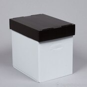 Archival PLASTIC Corrugated Magazi